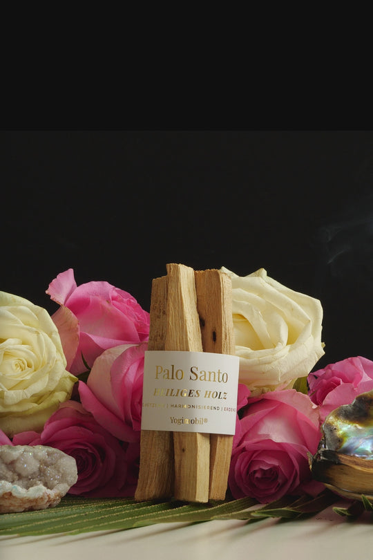 Palo Santo - heiliges Holz
